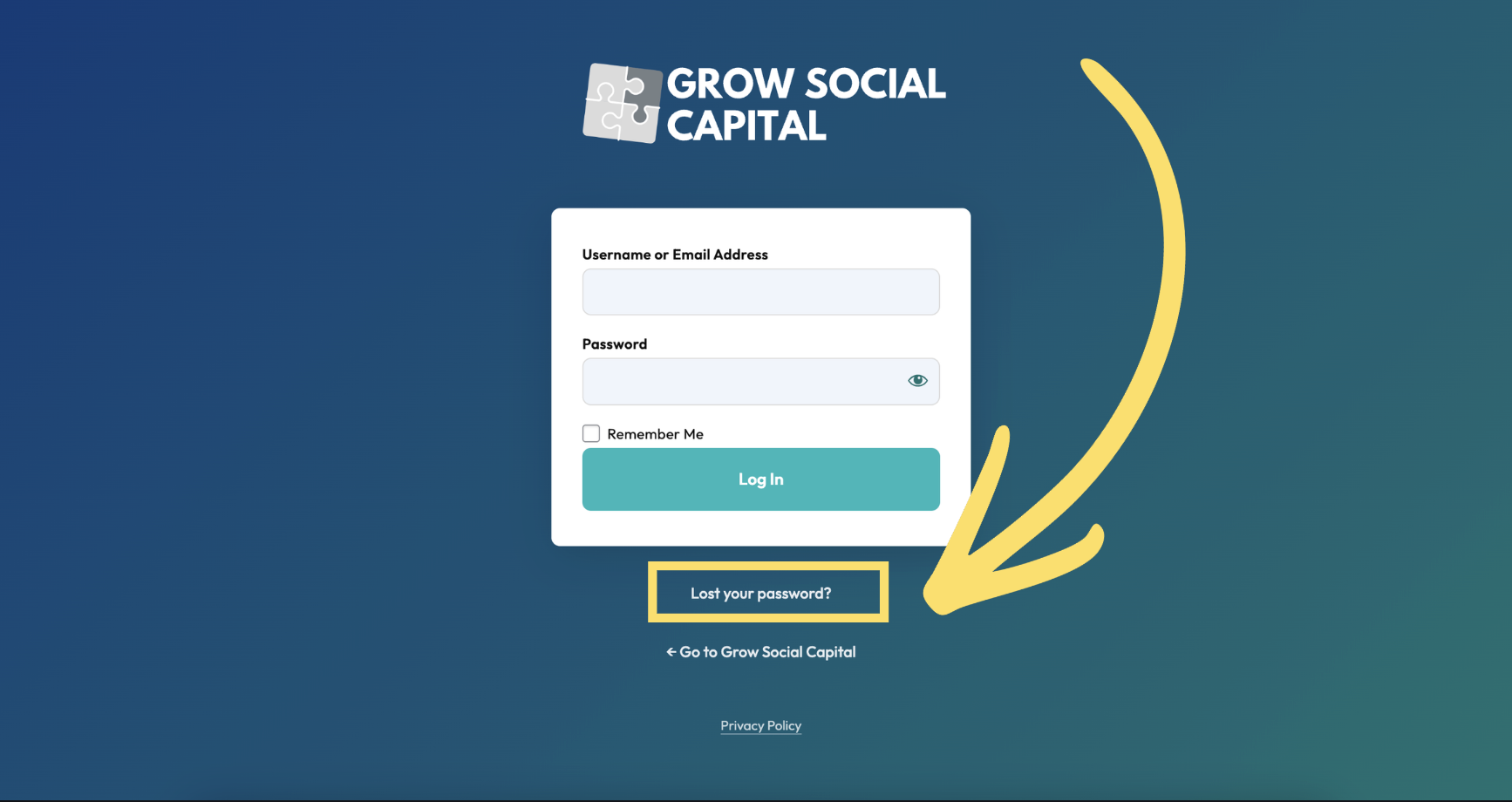 The login form with the Lost your password link highlighted below the Log In button